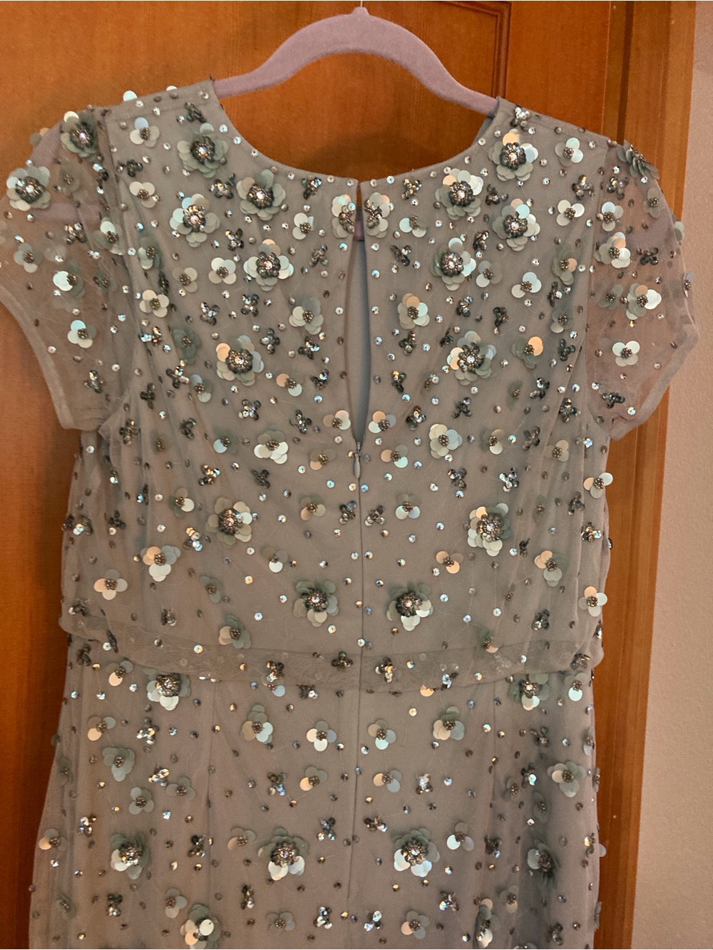 Adrianna Papell Mother of the Bride Sequin Floral Appliqué Gown 10P - Picture 5 of 8